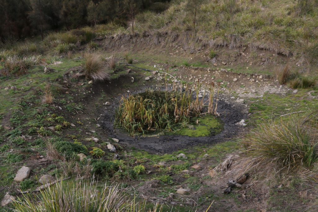 Spring Fed Dams Seepage-fed dam tells a story - Tasmanian Life